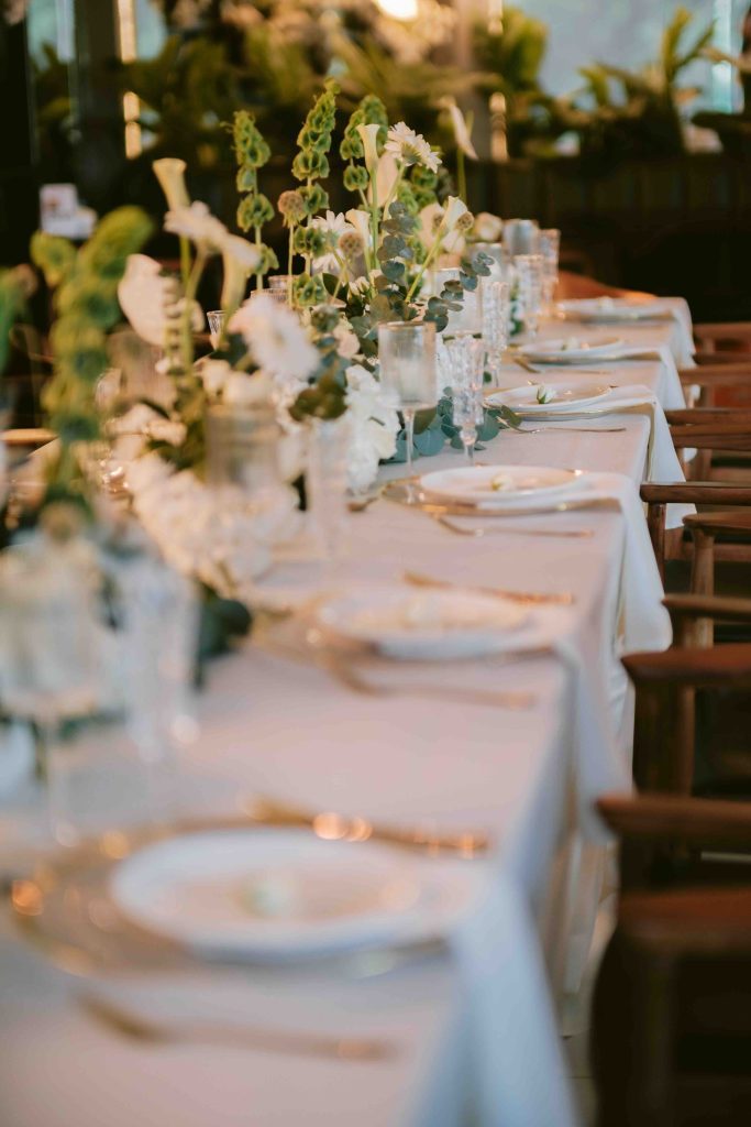 PEDIDA DE MANO Jan y Jesus 2 Jan y Jesús se hacen una promesa de amor