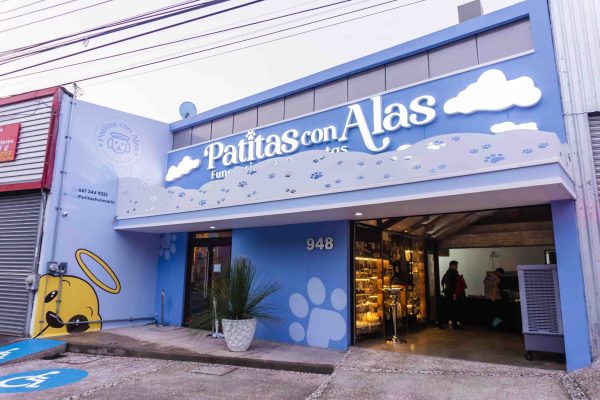 Patitas con alas Gente Sinaloa 12 Culiacán la primera funeraria para mascotas: Patitas con Alas revista gente sinaloa