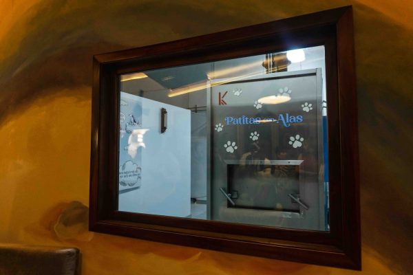 Patitas con alas Gente Sinaloa 6 Culiacán la primera funeraria para mascotas: Patitas con Alas revista gente sinaloa