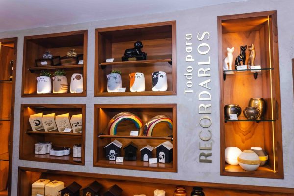 Patitas con alas Gente Sinaloa 7 Culiacán la primera funeraria para mascotas: Patitas con Alas revista gente sinaloa