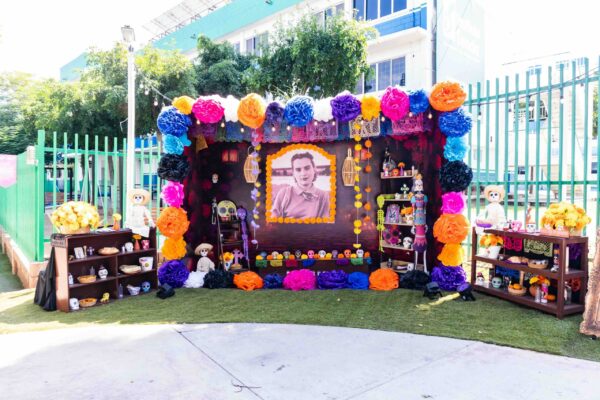 Senda altares dia de muertos