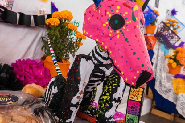 Senda altares dia de muertos 7