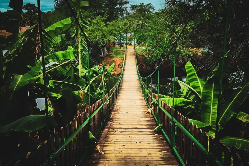 el rosario sinaloa revista gente viajando por