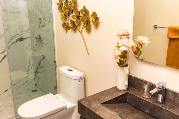 iconica park departamento impulsa-24