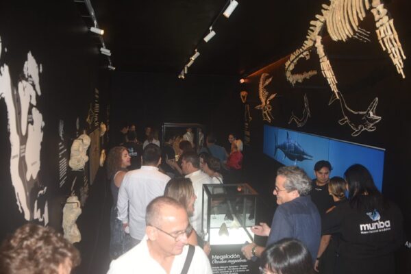 museo de la ballena revista gente depredadores sinaloa