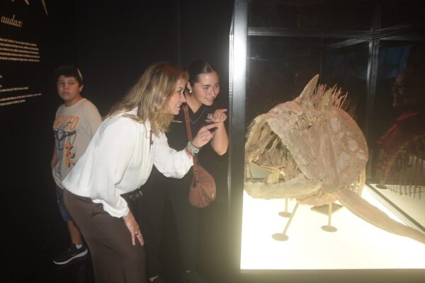 MUNBA EXPO DEPREDADORES revista gente sinaloa mazatlan museo de la ballena