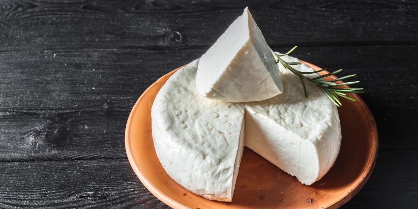 como conservar el Queso fresco vidrio revista gente
